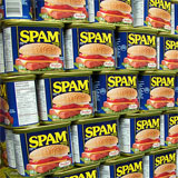 Spam Wall